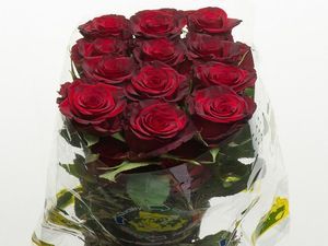 ROSE RED PARIS 60